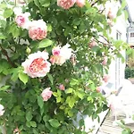 Thuroe 3* Svendborg