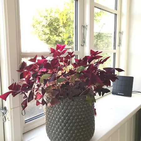 Thuroe Bed & Breakfast Svendborg