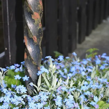 Bed & Breakfast Thuroe