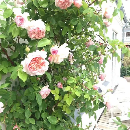 Thuroe 3* Svendborg